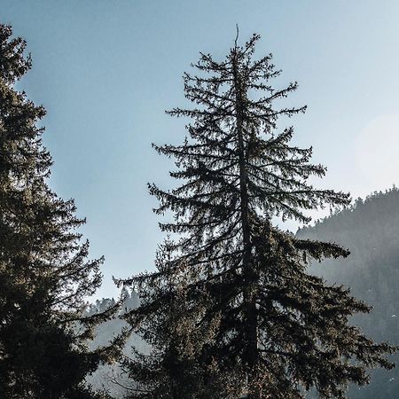 Roombox Likani Borzsomi Kültér fotó